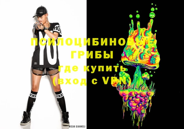 спиды Арсеньев