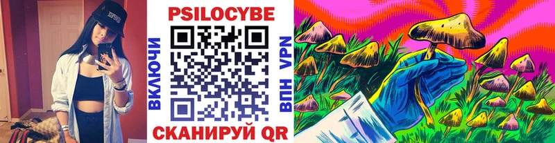 Галлюциногенные грибы Psilocybine cubensis  Пустошка 